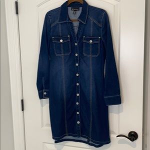 NWOT Long sleeve stretch denim dress.